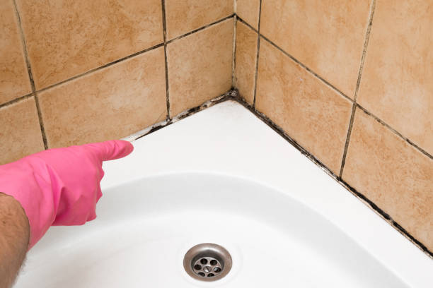 Best Mold Testing  in Williamsburg, PA